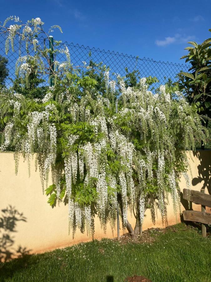 살리어드마토스 Quinta Da Sobreira B&B 외부 사진